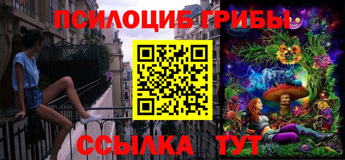 Псилоцибиновые грибы Psilocybine cubensis  Вход с VPN  Октябрьский 
