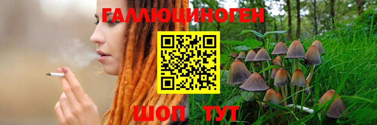 Галлюциногенные грибы Psilocybine cubensis Октябрьский
